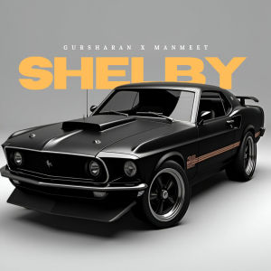 Gursharan的專輯Shelby