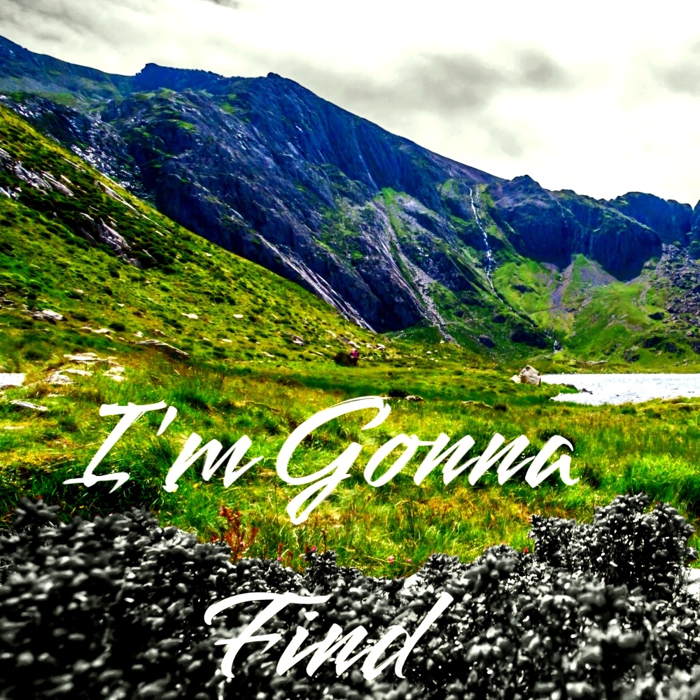 I'm Gonna Find