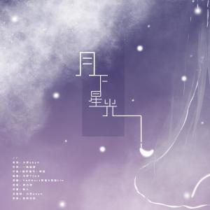 อัลบัม 月下星光 ศิลปิน 元气少女707