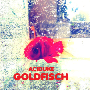 Album Goldfisch from Aciduke