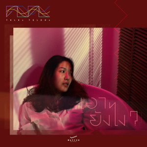 ดาวน์โหลดและฟังเพลง เอายังไง? พร้อมเนื้อเพลงจาก TELEx TELEXs