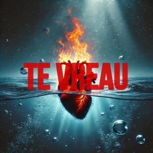 收聽Bele的TE VREAU歌詞歌曲