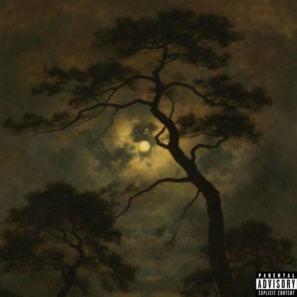 Better Nights (feat. Aqua Raps) (Explicit)