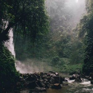 Album Rainforest Rain Sounds from 