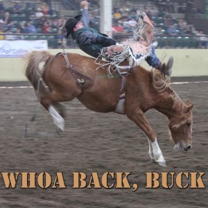 Various Artists的專輯Whoa Back, Buck