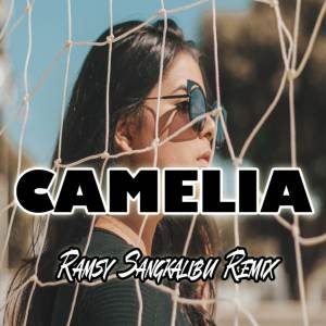 DJ Camelia