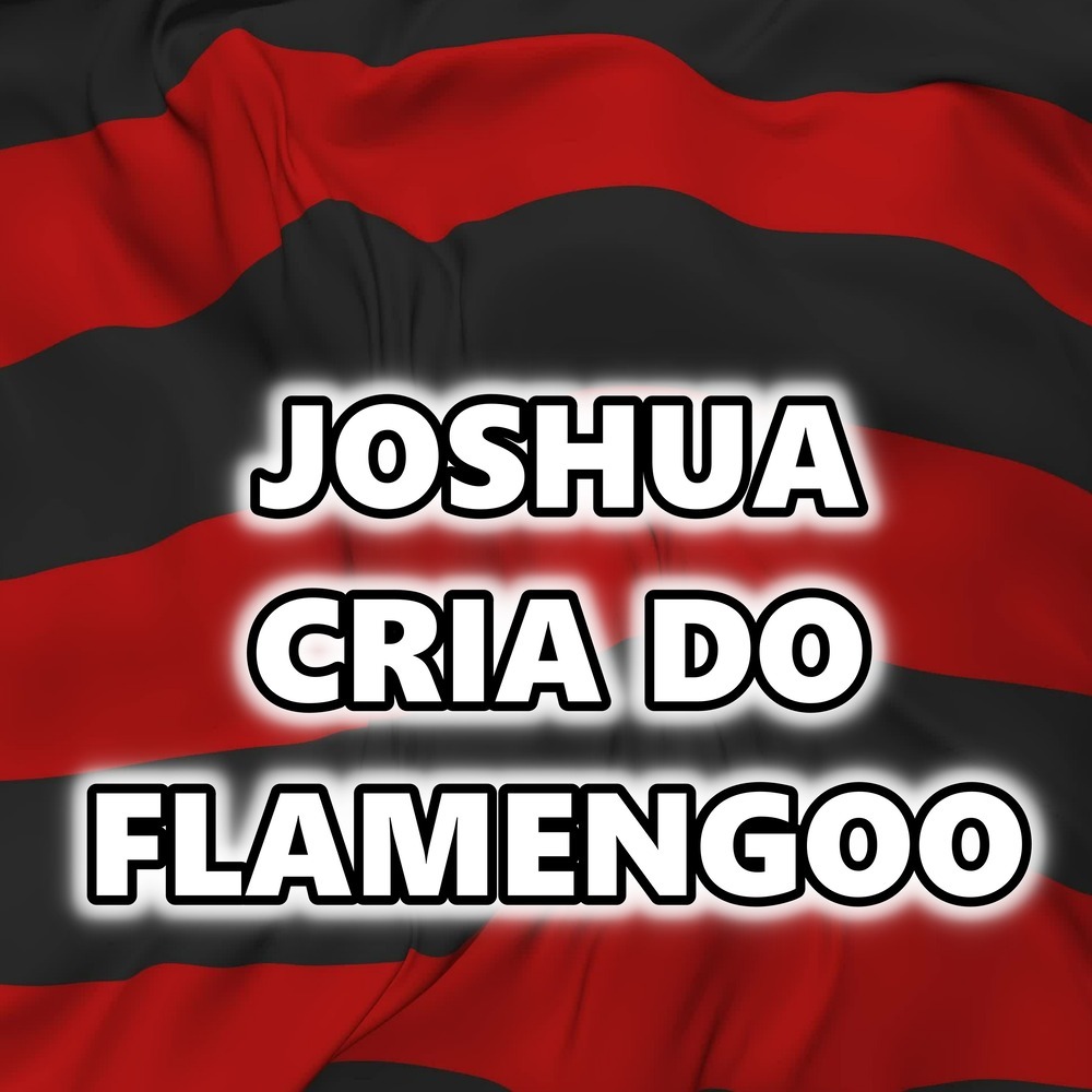 JOSHUA CRIA DO FLAMENGOO
