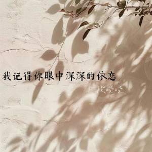 Album 我记得你眼中深深的依恋 from 段晓晓