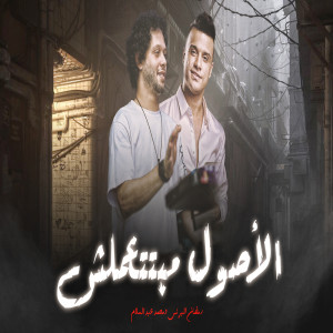 Listen to الاصول مبتتعملش song with lyrics from Mohamed Abdel Salam