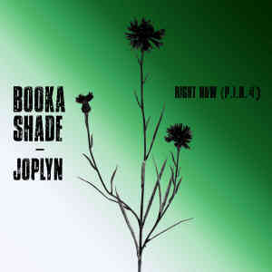 Booka Shade的專輯Right Now (P.I.N. 4)