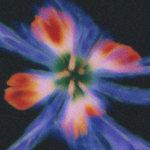 halfpastseven的專輯Used To Know