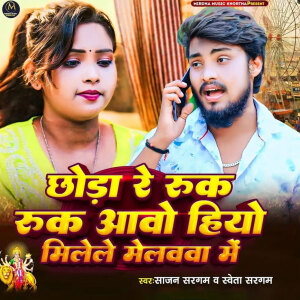 Album Chhauda Re Ruk Ruk Aawo Hiyo Milele Melwa Me from Sajan Sargam