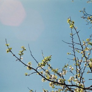 ดาวน์โหลดและฟังเพลง Listerine พร้อมเนื้อเพลงจาก Fla.mingo