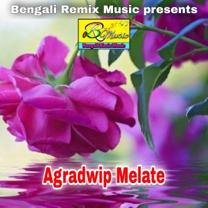 Listen to Hori Hori Bole Nache song with lyrics from Renuka Roy