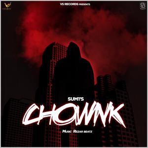 Listen to Chownk (feat. Rezar Beatz) song with lyrics from Sum1