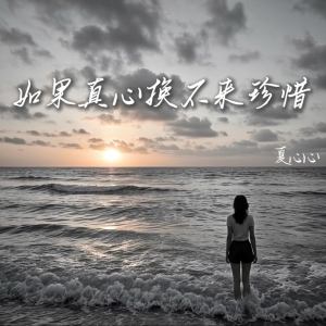 Album 如果真心换不来珍惜 from 夏心心