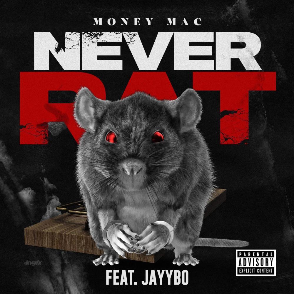 Never Rat (feat. Jayybo) (Explicit) (其他)