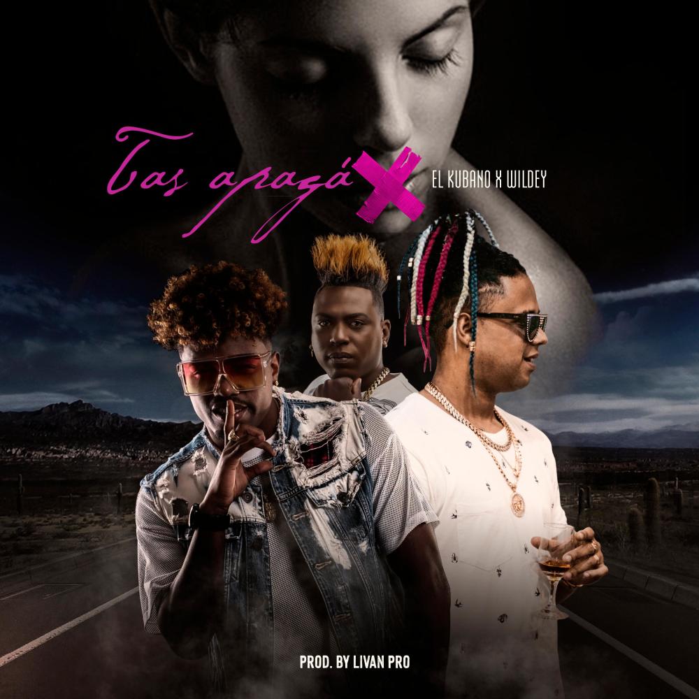 Tas Apaga (feat. Wildey & Livan Pro)