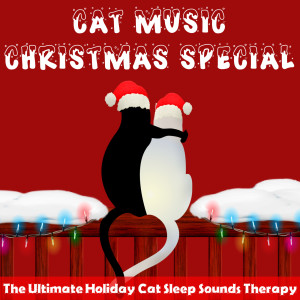 Listen to Last Christmas (Relax My Cat) song with lyrics from RelaxMyCat