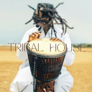 Album Tribal House (Explicit) from Group Star