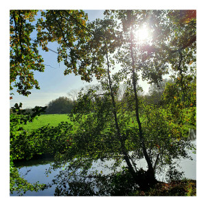 ดาวน์โหลดและฟังเพลง Faith พร้อมเนื้อเพลงจาก Frenquency