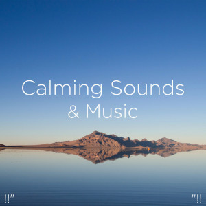 收聽Sleep Sounds of Nature的Baby Sleep Music歌詞歌曲