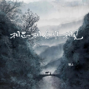 Listen to 相思相念难相见 song with lyrics from 锦上