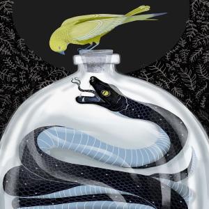floatinronin的專輯DEAD SNAKE IN A JAR (feat. ksbroly) [Explicit]