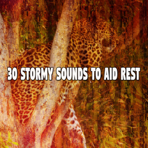 Listen to Consistent Showers song with lyrics from Rain Sounds