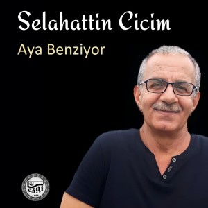 Dengarkan Gelen Vurmuş Giden Vurmuş lagu dari Selahattin Cicim dengan lirik