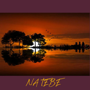 Album Na Tebe from Mišo Biely