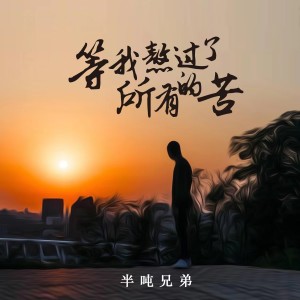 收聽半噸兄弟的等我熬過了所有的苦 (煙嗓版)歌詞歌曲