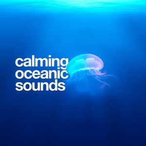 Calming Oceanic Sounds