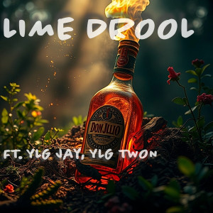 ดาวน์โหลดและฟังเพลง Lime Drool (Explicit) พร้อมเนื้อเพลงจาก PAQ