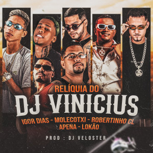 Molecotxi的專輯Relíquia do Dj Vinicius (Explicit)