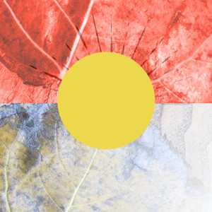 收聽Jennie Kapadai的Mr Sun, Sun, Mr Golden Sun (Acoustic Version)歌詞歌曲