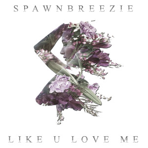 ดาวน์โหลดและฟังเพลง Like U Love Me พร้อมเนื้อเพลงจาก Spawnbreezie