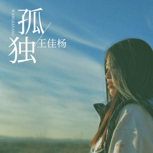 收聽王佳楊的孤獨 (DJ何鵬版)歌詞歌曲
