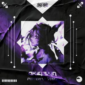 Listen to Buterfly Tears song with lyrics from Akeflyn