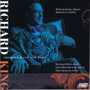 ดาวน์โหลดและฟังเพลง Trio for Piano, Violin, and Horn, Op. 40: I พร้อมเนื้อเพลงจาก Amy Lee