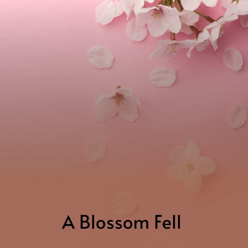 A Blossom Fell