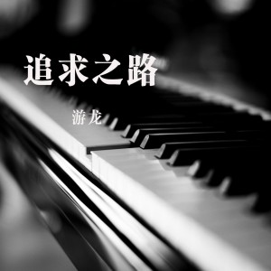收聽遊龍的追求之路歌詞歌曲
