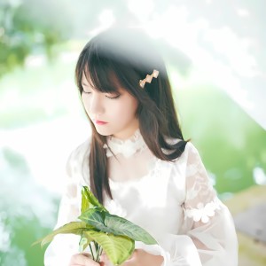 Album 情人树 from 唐丹岚