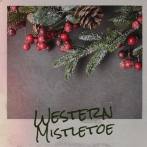 Dengarkan lagu Winter Wonderland nyanyian Bing Crosby dengan lirik