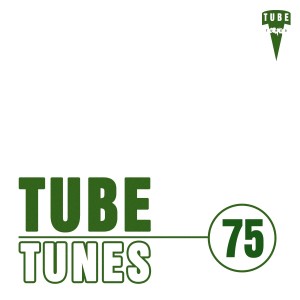 Various Artists的專輯Tube Tunes, Vol. 75