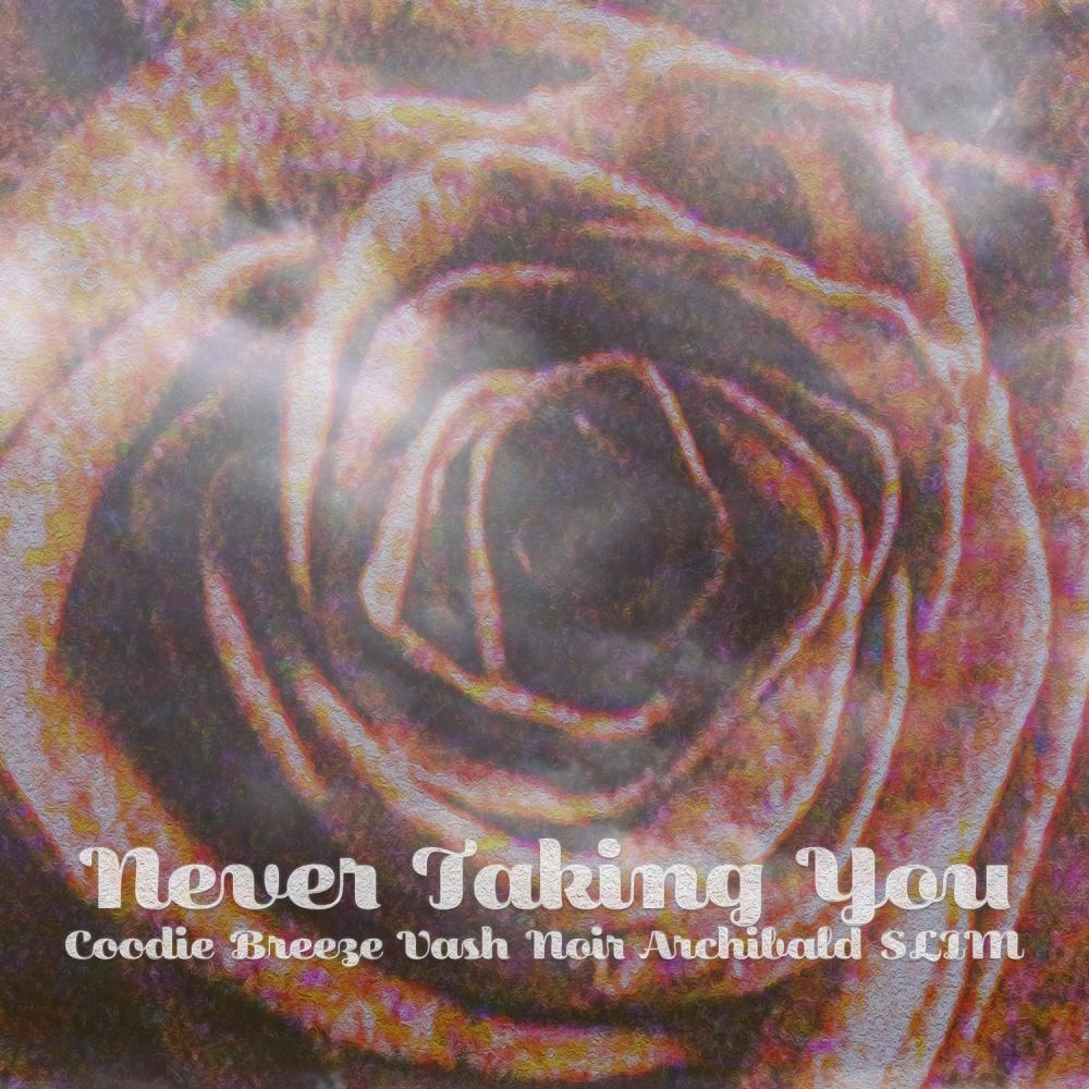 Never Taking You (feat. Coodie Breeze & Vash Noir) (Explicit)