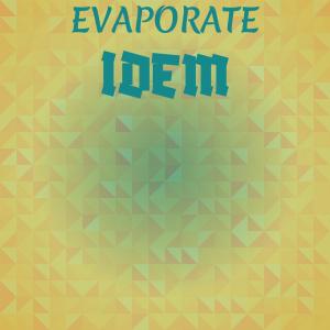 Various Artists的專輯Evaporate Idem