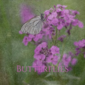 Album Butterflies oleh Silvio Rodríguez