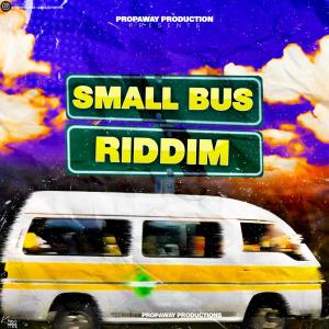 Propa Way Production的專輯Small Bus Riddim