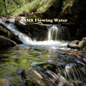 Listen to ASMR Flowing Water (Nature Sound) song with lyrics from J.Roomy